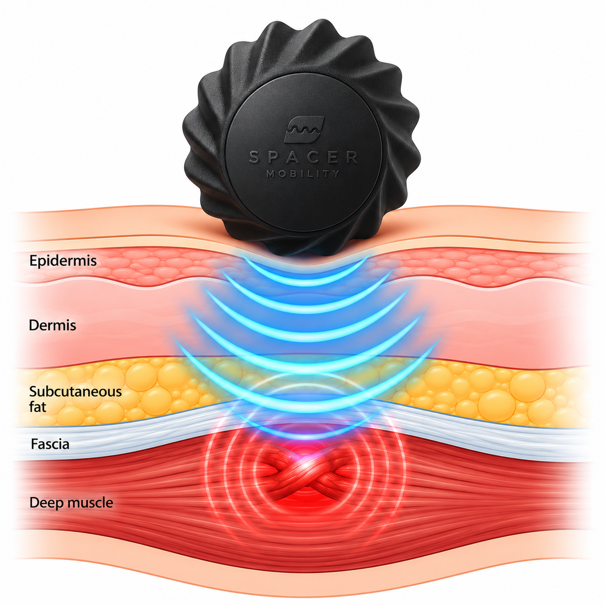 Plantar Fasciitis Recovery Bundle