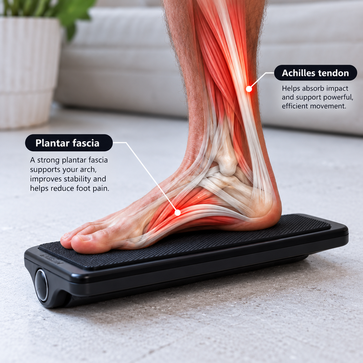 Plantar Fasciitis Recovery Bundle