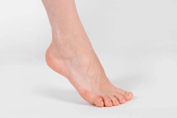 01 Ankle